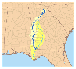 Map of the Apalachicola River system with the Chattahoochee highlighted in dark blue.