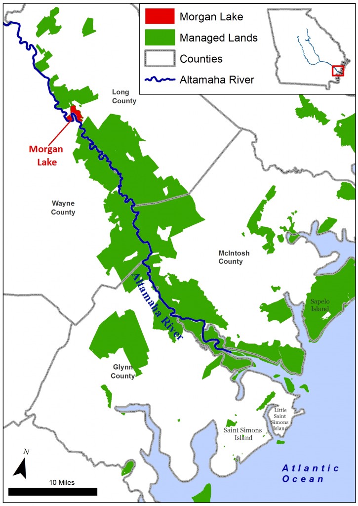 Nature Conservancy buys, protects Lake along Altamaha River