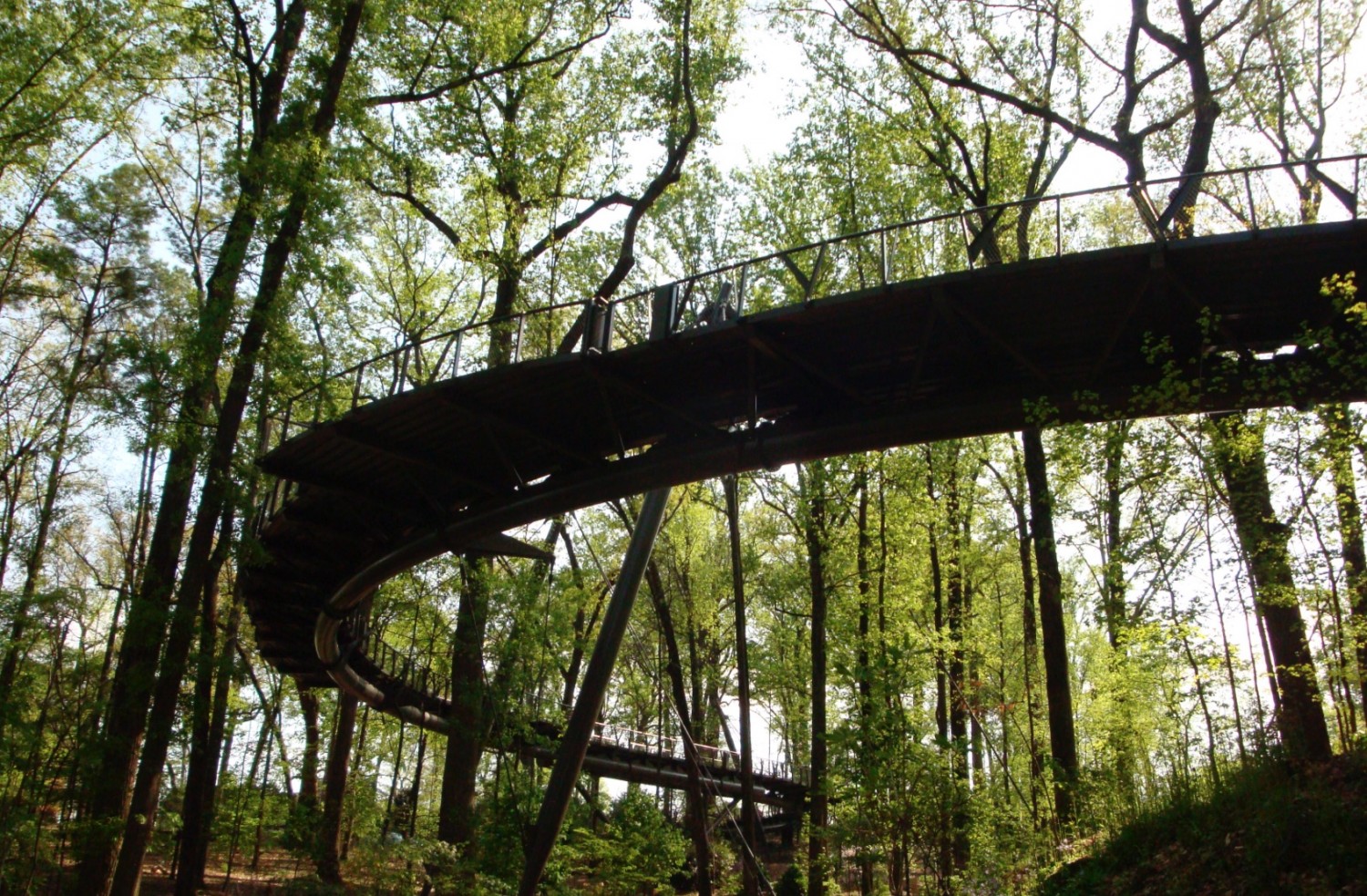 Atlanta to invest nearly 1 million in tree planting, programs about