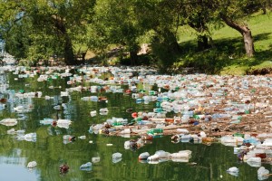 plastic bottles on water