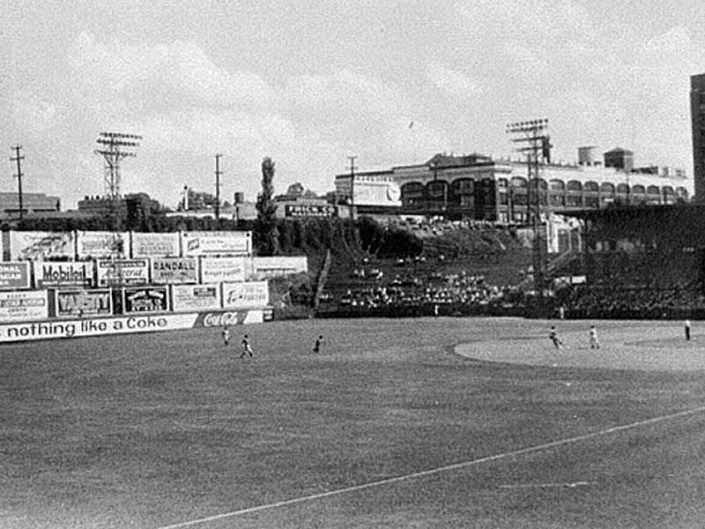 From ballpark to Ponce City Market, this magnolia has survived a