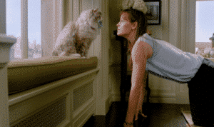 Jennifer Garner's character in 'Nine Lives' loves her husband, but is beginning to set boundaries on him for the sake of their family. At this point, her husband enters a coma and his brain is placed inside the family's cat, Mr. Fuzzypants. Credit: starmometer.com