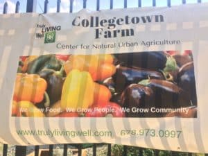 Collegetown Farm