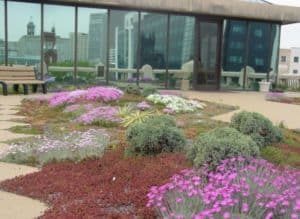 Atlanta is in the early stages of its plan to renovate the green roof atop City Hall. Credit: greenroofs.com