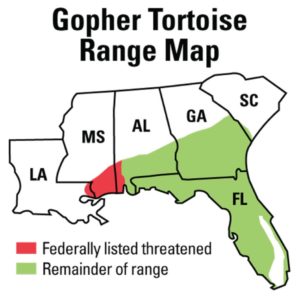 goferio vėžlio arealo žemėlapis