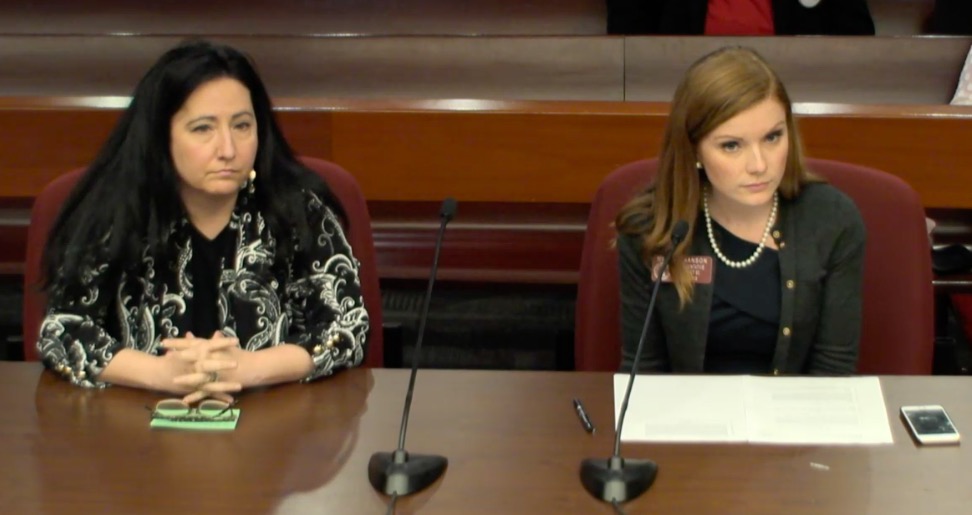 DeKalb County Commissioner Nancy Jester and state Rep. Meagan Hansen at the state Capitol office building on Wednesday, say it's time for DeKalb to get rid of the CEO form of government. Credit: State Senate video broadcast