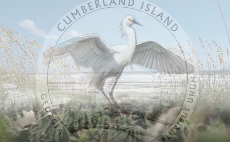 cumberland island coin, emblazoned