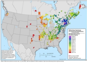 white nose syndrome, locator map
