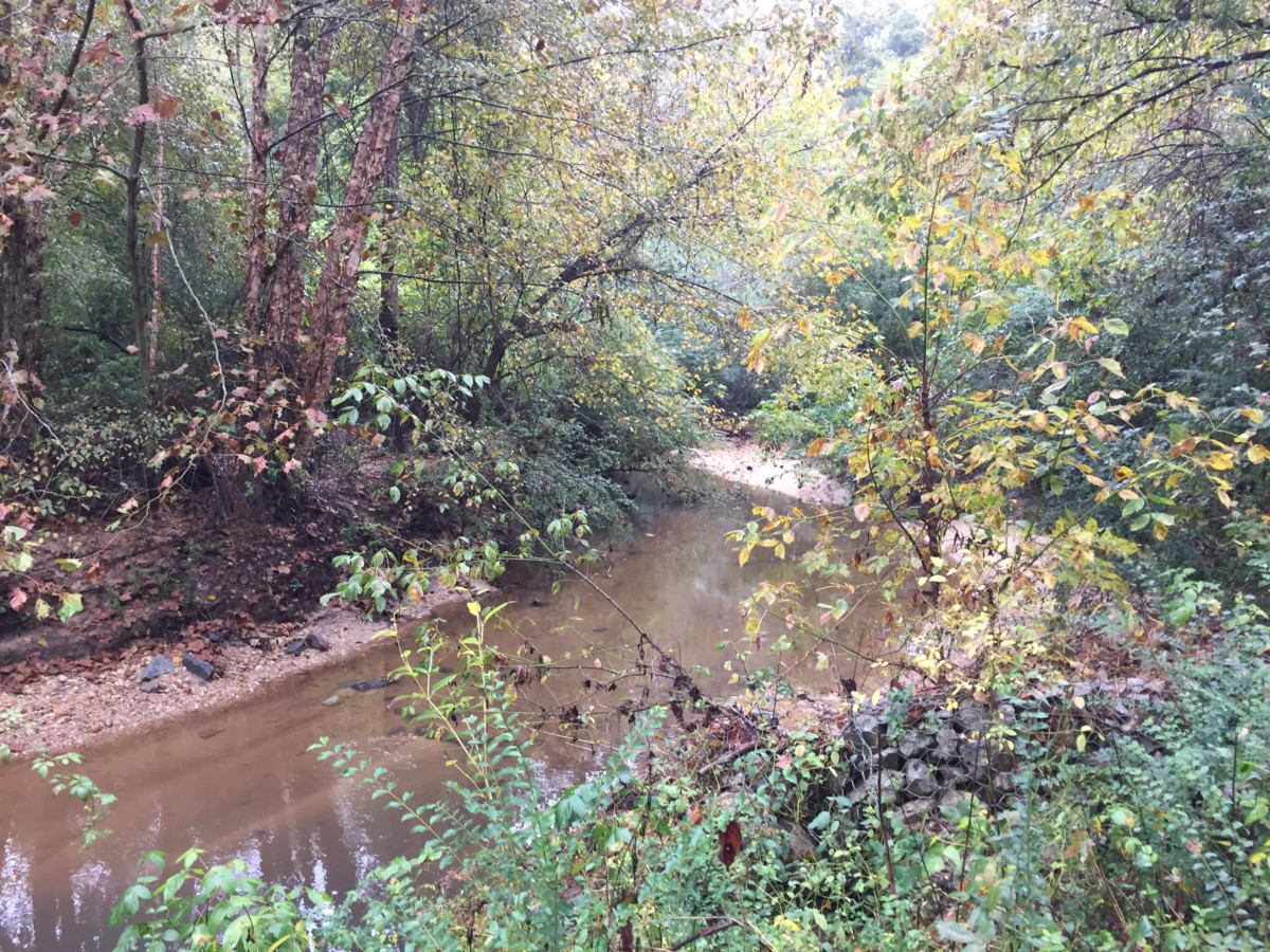 Marsh Creek in the Area of a Proposed Sandy Springs Trail