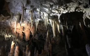 Florida Caverns State Park, edit