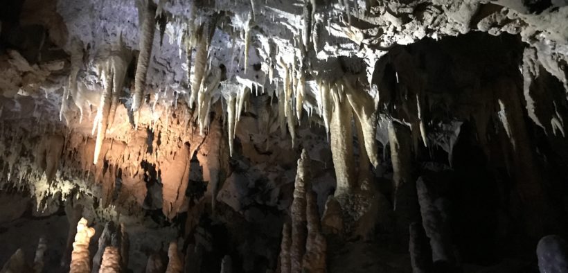 Florida Caverns State Park, edit