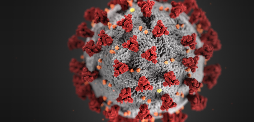 A closeup picture of the covid virus