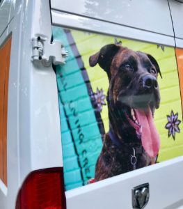 A van with a photo of a dog on it