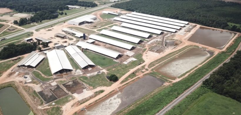 Leatherback Farms, aerial view