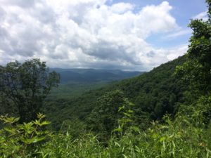 Chattahoochee National Forest