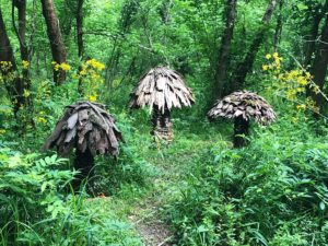 Forest Mushroom by MF Goods ie Alice Lim and Eddie Farr